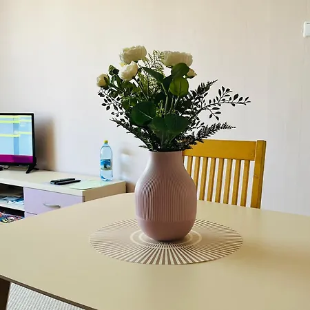 Apartament Maria At Rootsi Street *