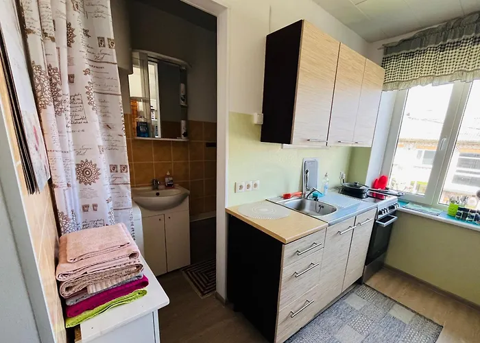 Maria At Rootsi Street Apartment